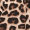 2 in 1 Leopard Print Jumpsuit